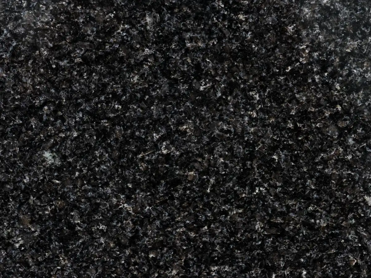 Imagen referencial de Negro Perla